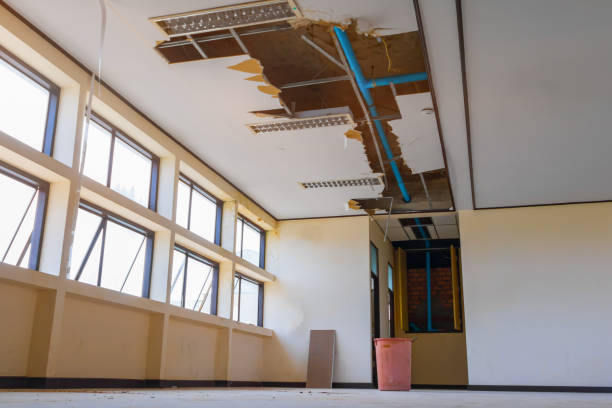 Best Residential water damage restoration  in Kingsley, MI