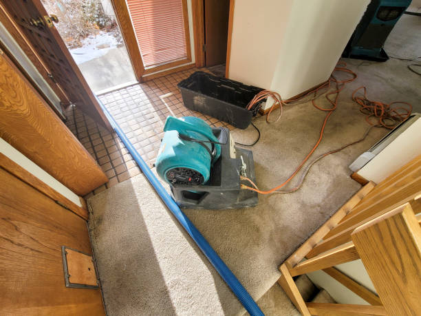 Best Sewage cleanup and water damage restoration  in Kingsley, MI