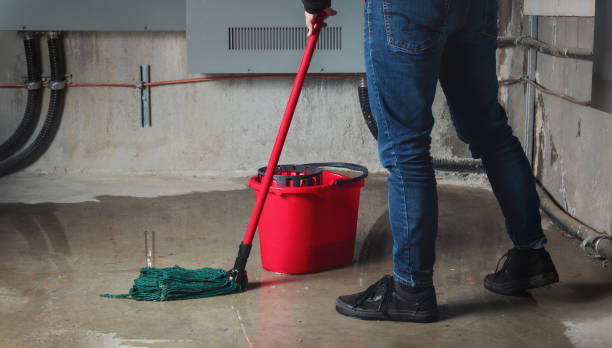 Best Emergency water damage restoration  in Kingsley, MI