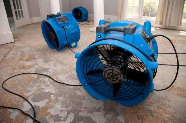 Best Flood damage cleanup  in Kingsley, MI