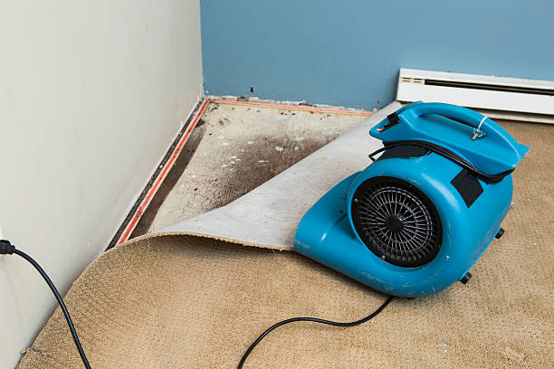 Water damage restoration process in Kingsley, MI